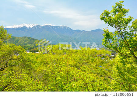 日本100名城・高遠城 118800651