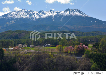 御嶽山 御嶽山 118800673
