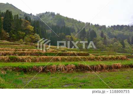 世界遺産・白川郷 世界遺産・白川郷 118800755