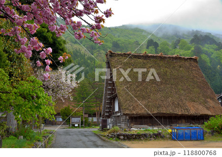 世界遺産・白川郷 世界遺産・白川郷 118800768