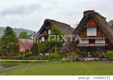 世界遺産・白川郷 118800771