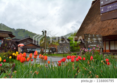 世界遺産・白川郷 世界遺産・白川郷 118800795