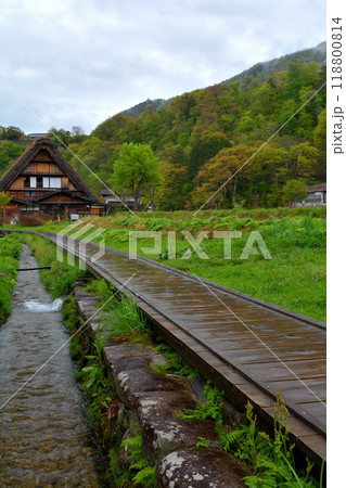 世界遺産・白川郷 世界遺産・白川郷 118800814