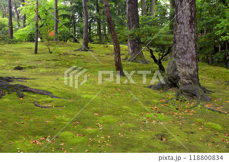 金沢・兼六園 118800834