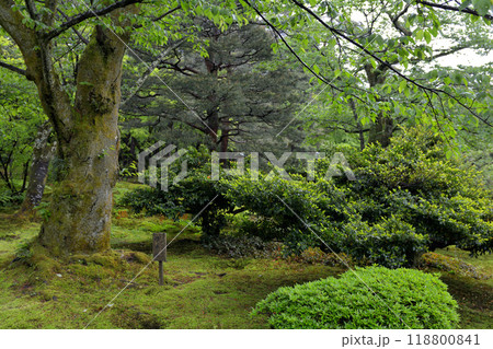 金沢・兼六園 金沢・兼六園 118800841