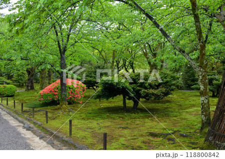 金沢・兼六園 金沢・兼六園 118800842