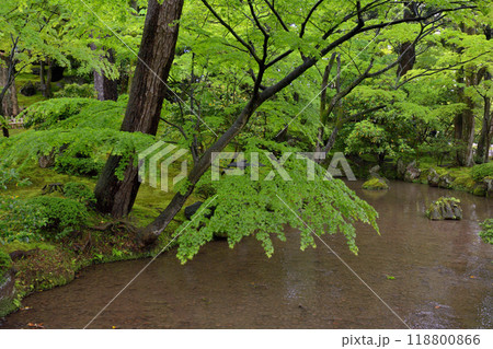 金沢・兼六園 118800866