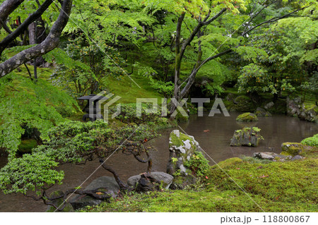 金沢・兼六園 118800867