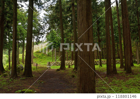 日本100名城・七尾城 日本100名城・七尾城 118801146