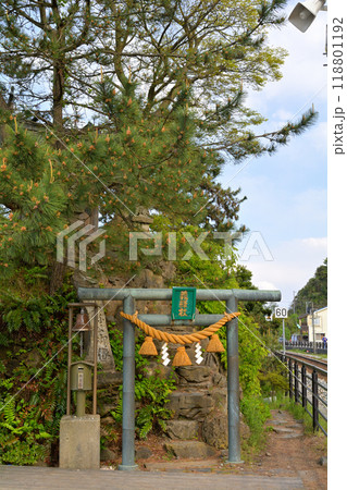 富山・雨晴海岸 富山・雨晴海岸 118801192