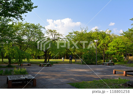 日本100名城・高岡城 日本100名城・高岡城 118801258