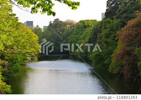 日本100名城・高岡城 日本100名城・高岡城 118801263