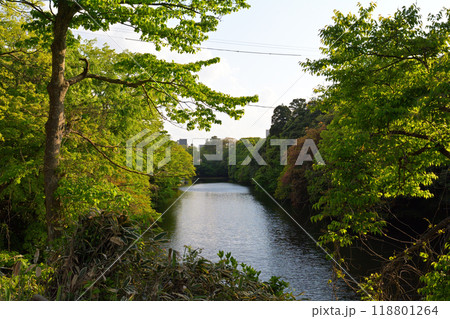 日本100名城・高岡城 日本100名城・高岡城 118801264