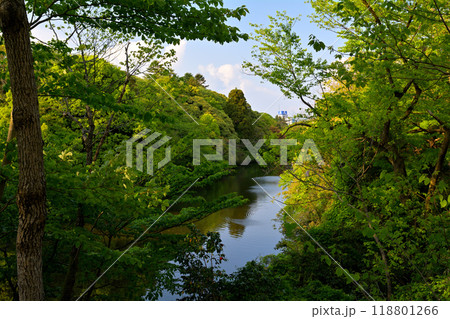 日本100名城・高岡城 日本100名城・高岡城 118801266