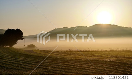 長崎県壱岐市の朝もやの原の辻遺跡 長崎県壱岐市の朝もやの原の辻遺跡 118801421