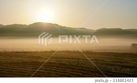 長崎県壱岐市の朝もやの原の辻遺跡 118801423