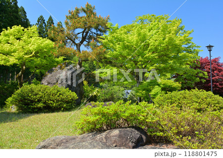 日本100名城・一乗谷城(一乗谷レストラント) 日本100名城・一乗谷城(一乗谷レストラント) 118801475