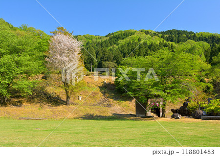 日本100名城・一乗谷城 日本100名城・一乗谷城 118801483