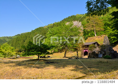 日本100名城・一乗谷城 118801484