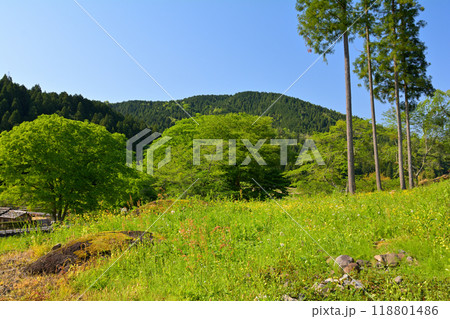 日本100名城・一乗谷城 118801486