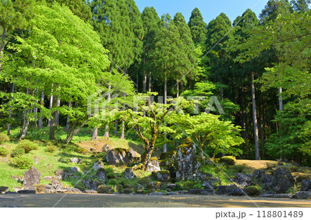 日本100名城・一乗谷城 118801489
