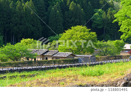 日本100名城・一乗谷城 日本100名城・一乗谷城 118801491