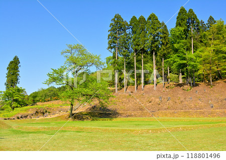 日本100名城・一乗谷城 118801496