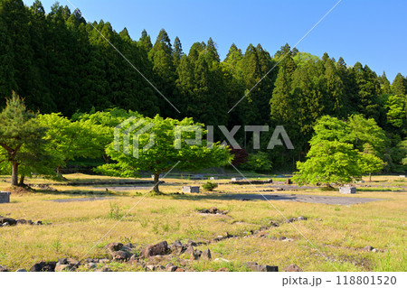 日本100名城・一乗谷城 118801520