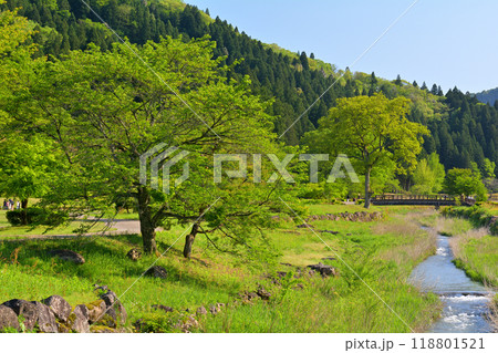 日本100名城・一乗谷城 118801521