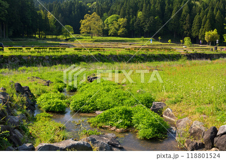 日本100名城・一乗谷城 118801524