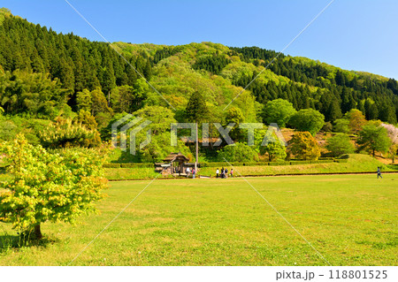 日本100名城・一乗谷城 118801525