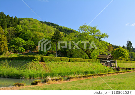 日本100名城・一乗谷城 日本100名城・一乗谷城 118801527