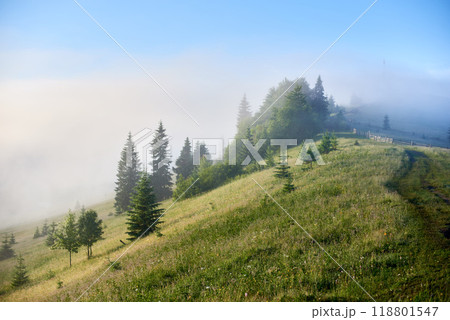 Misty morning in mountain valley. Layers of fog drift through lush green forests, creating serene and mystical atmosphere. Distant hills and peaks rise majestically under clear blue sky. Misty morning in mountain valley. Layers of fog drift through lush green forests, creating serene and mystical atmosphere. Distant hills and peaks rise majestically under clear blue sky. 118801547
