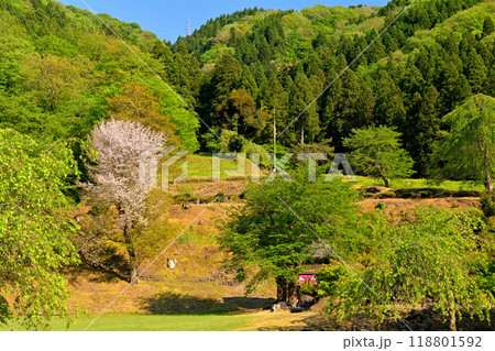日本100名城・一乗谷城 118801592