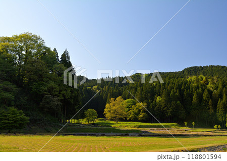 日本100名城・一乗谷城 日本100名城・一乗谷城 118801594