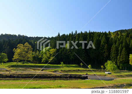 日本100名城・一乗谷城 118801597