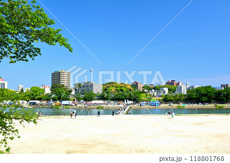 日本100名城・岡崎城 118801768