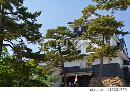 日本100名城・岡崎城 日本100名城・岡崎城 118801770