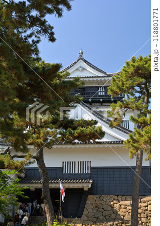 日本100名城・岡崎城 日本100名城・岡崎城 118801771