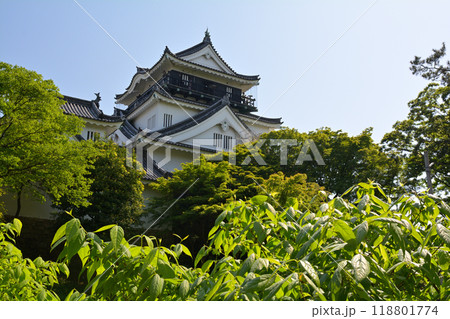 日本100名城・岡崎城 日本100名城・岡崎城 118801774