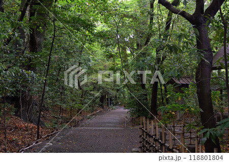 名古屋・熱田神宮 118801804