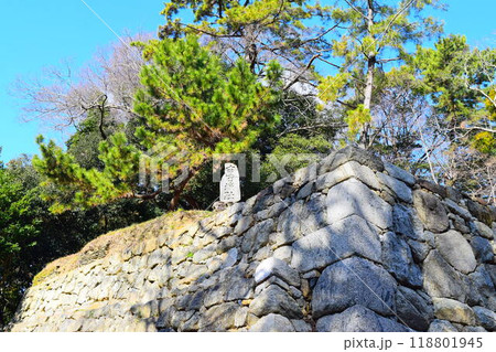 【続日本百名城】吉田城跡 118801945