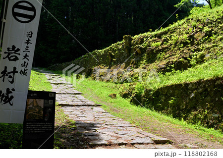 日本100名城・岩村城 118802168