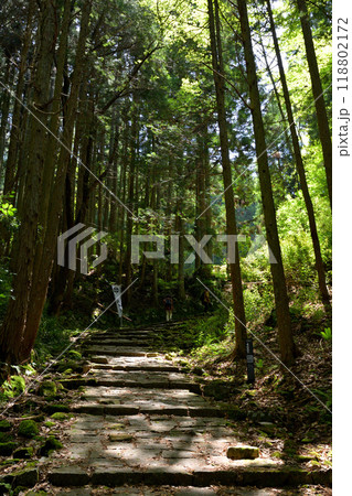 日本100名城・岩村城 日本100名城・岩村城 118802172