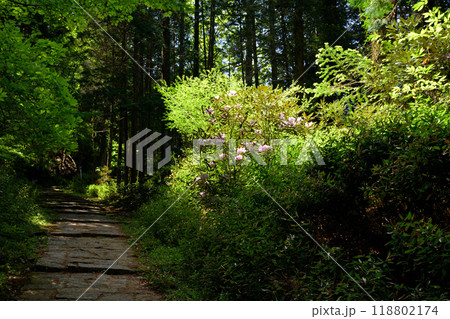 日本100名城・岩村城 日本100名城・岩村城 118802174