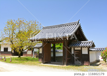 日本100名城・岩村城 日本100名城・岩村城 118802179