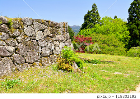 日本100名城・岩村城 118802192