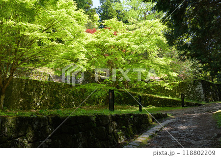 日本100名城・岩村城 118802209