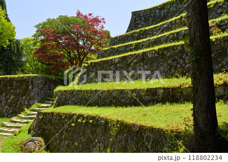 日本100名城・岩村城 日本100名城・岩村城 118802234
