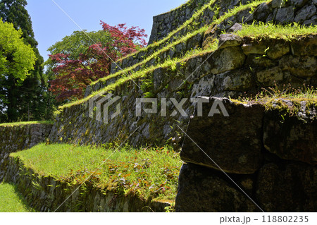 日本100名城・岩村城 日本100名城・岩村城 118802235